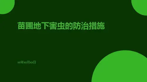 苗圃地下害虫的防治措施
