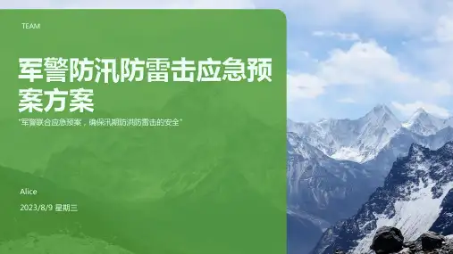 2023年某公司防汛防雷击应急预案