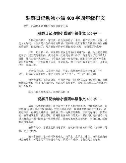 观察日记动物小猫400字四年级作文
