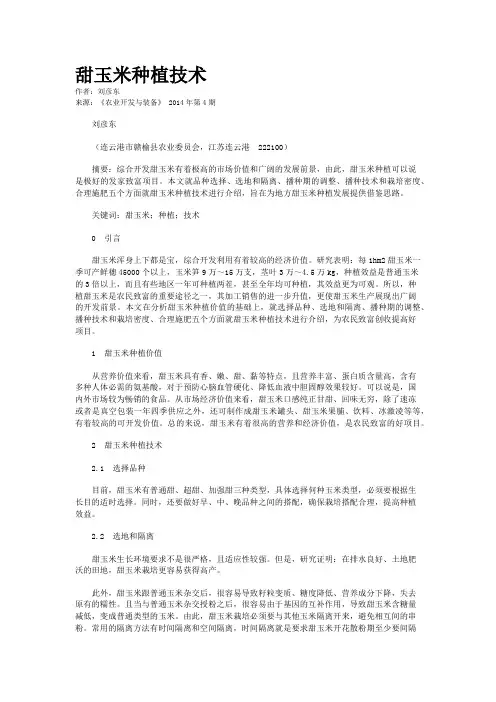 甜玉米种植技术