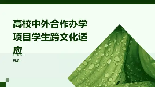 高校中外合作办学项目学生跨文化适应