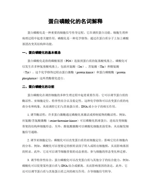 蛋白磷酸化的名词解释