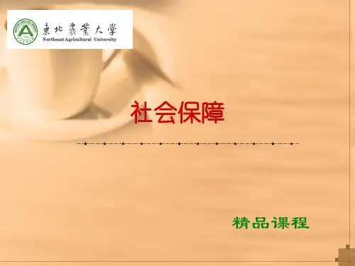 第五章养老社会保险精品PPT课件