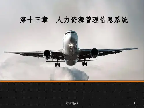 人力资源信息管理系统ppt课件