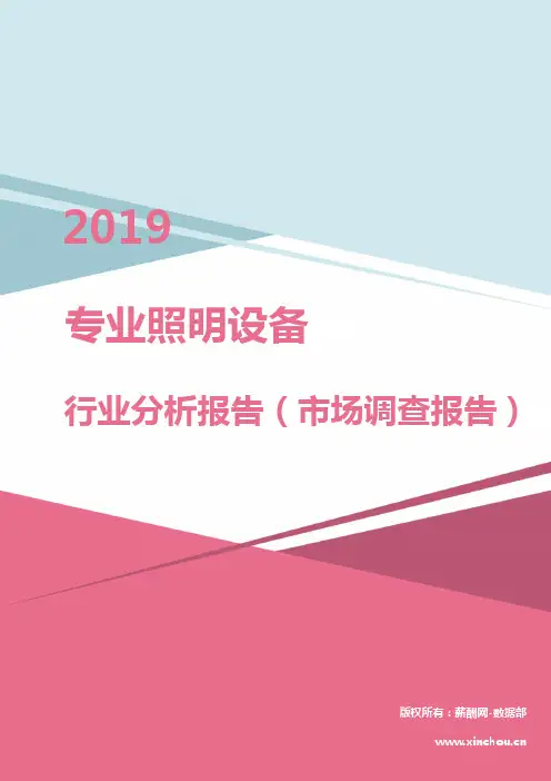 2019年专业照明设备行业分析报告(市场调查报告)