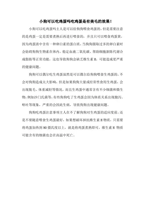 小狗可以吃鸡蛋吗吃鸡蛋是有美毛的效果!