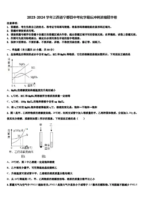 2023-2024学年江西省宁都县中考化学最后冲刺浓缩精华卷含解析
