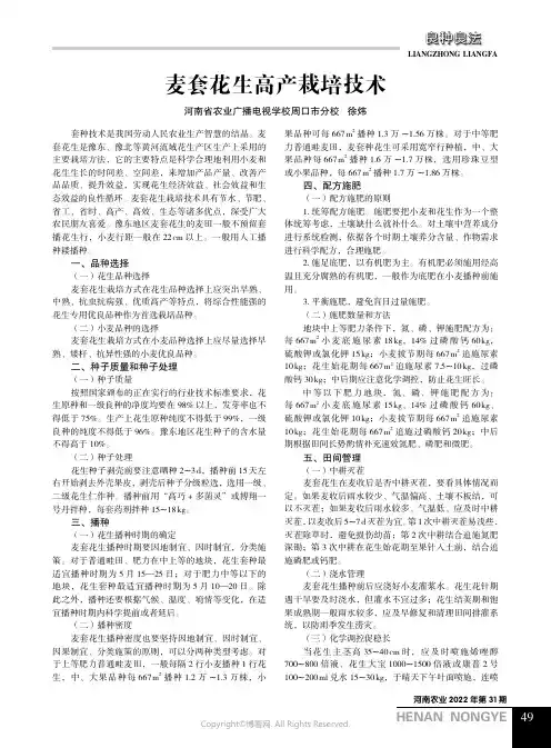 麦套花生高产栽培技术
