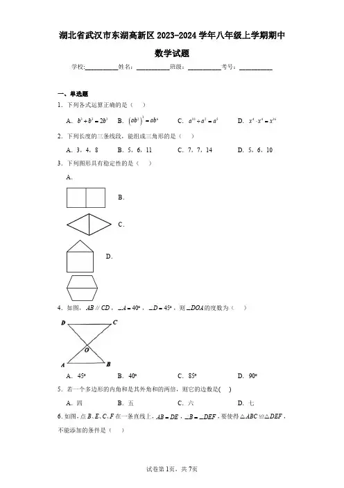 湖北省武汉市东湖高新区2023-2024学年八年级上学期期中数学试题