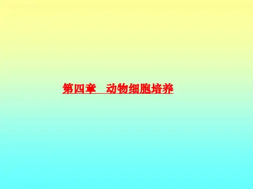 细胞工程-原代及传代细胞培养