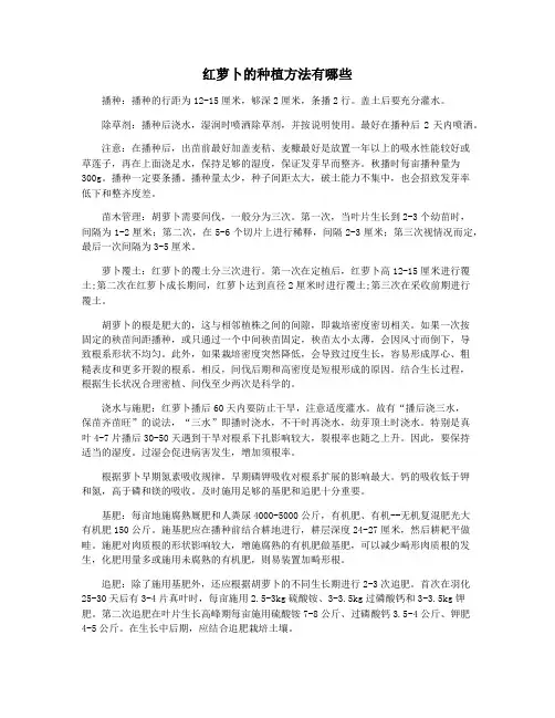 红萝卜的种植方法有哪些