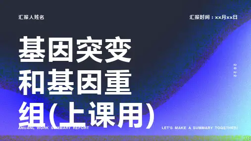 基因突变和基因重组(上课用)