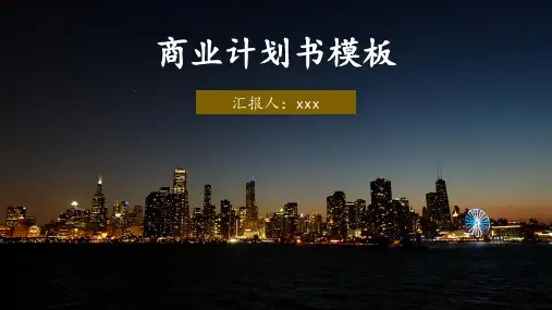 黑金风商业计划书模板
