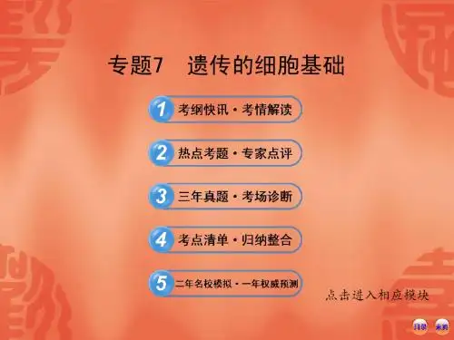 2013年高考生物复习课件： 遗传的细胞基础