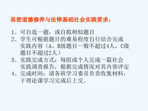 思想道德修养与法律基础社会实践题目