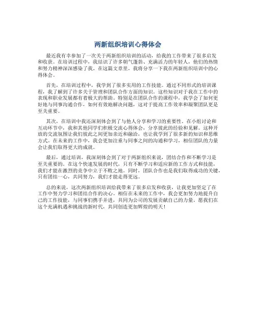 两新组织培训心得体会范文500字