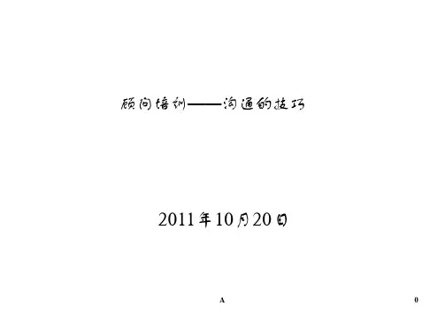 管理咨询顾问—沟通的技巧