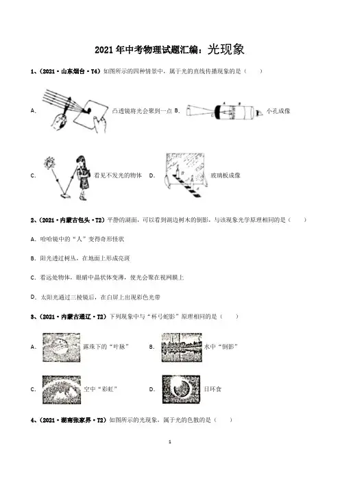 2021年中考物理试题汇编：光现象(解析版)