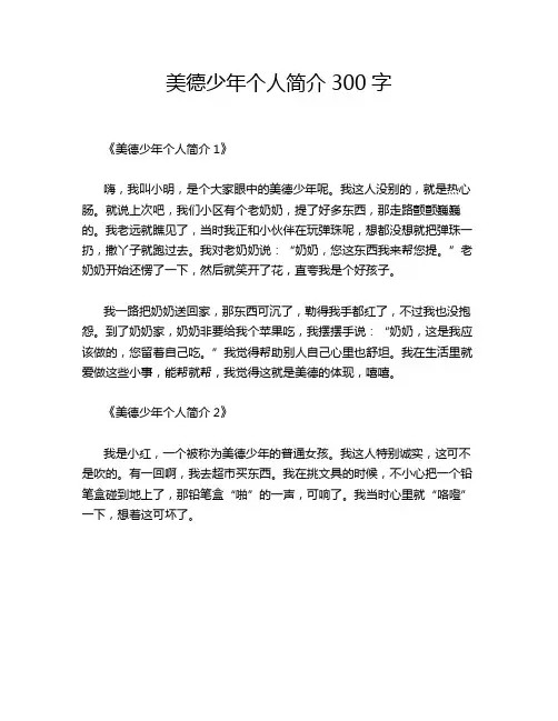 美德少年个人简介300字