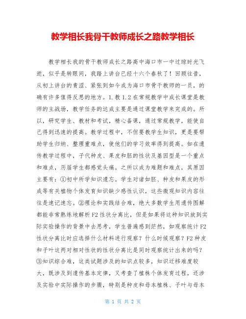 教学相长我骨干教师成长之路教学相长