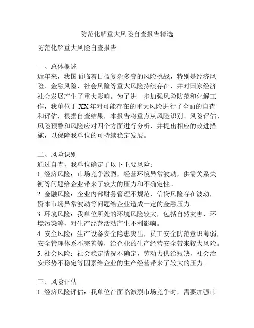 防范化解重大风险自查报告精选