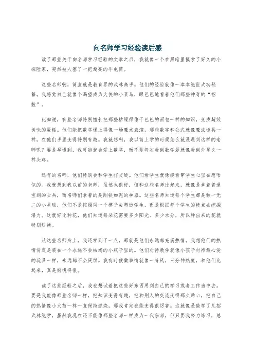 向名师学习经验读后感