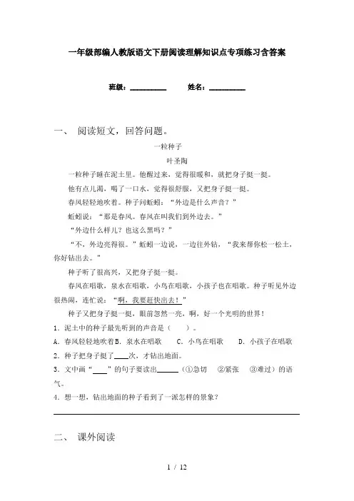 一年级部编人教版语文下册阅读理解知识点专项练习含答案