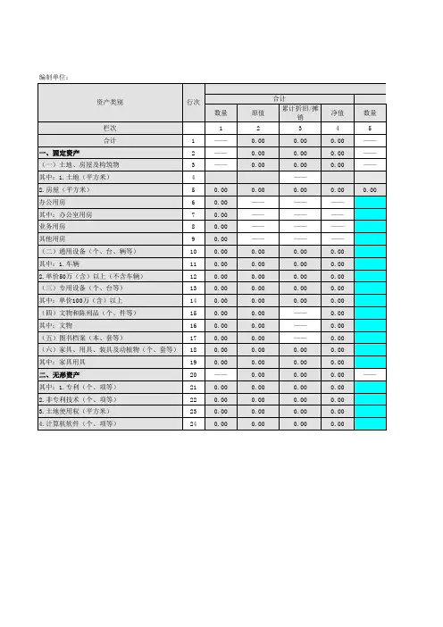 04-固定资产和无形资产配置情况表