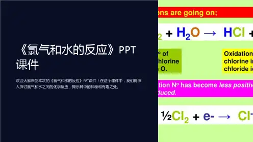《氯气和水的反应》课件