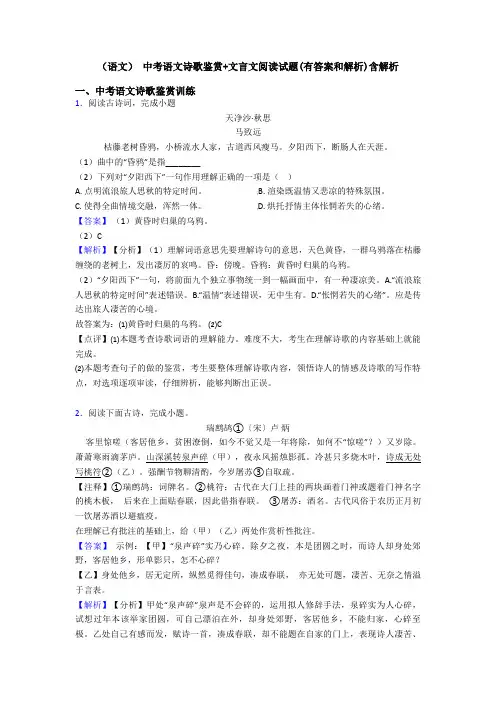 (语文) 中考语文诗歌鉴赏+文言文阅读试题(有答案和解析)含解析