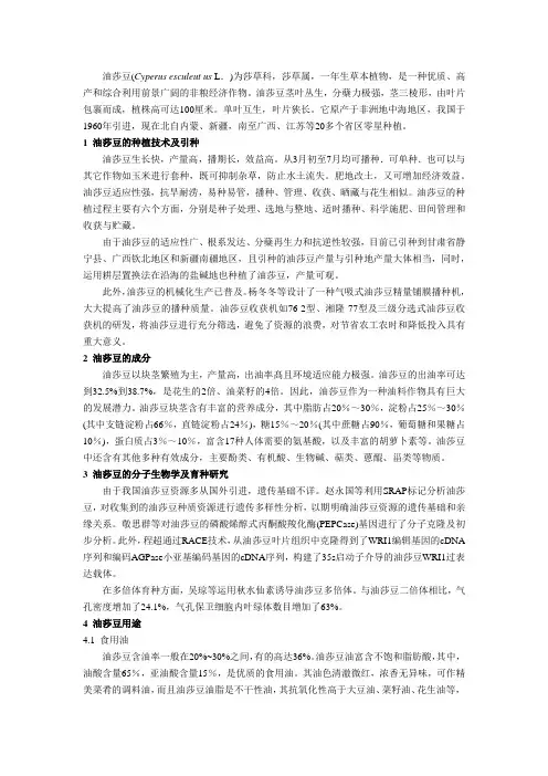 油莎豆