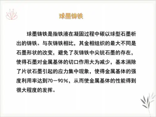 球铁缺陷和金相PPT课件