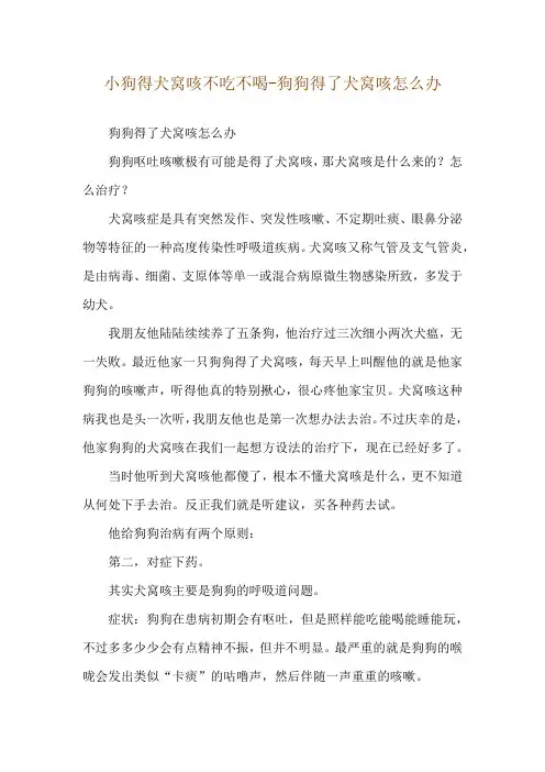 小狗得犬窝咳不吃不喝-狗狗得了犬窝咳怎么办