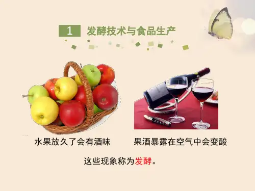 苏教版生物八年级下册23-1  源远流长的发酵技术   (41张PPT) (1)