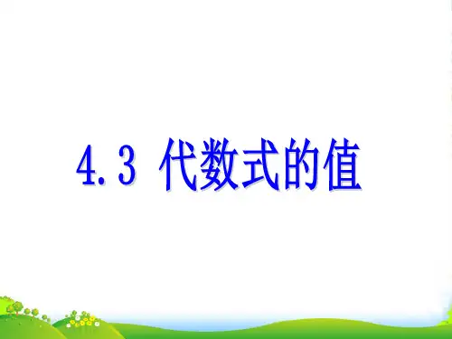 浙教版七年级数学上册4.3 《代数式的值》课件 (2)
