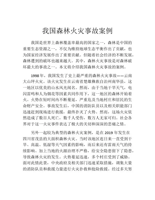 我国森林火灾事故案例