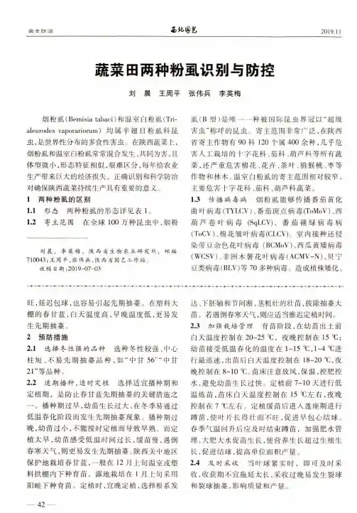 蔬菜田两种粉虱识别与防控