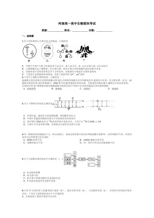 河南高一高中生物期末考试带答案解析
