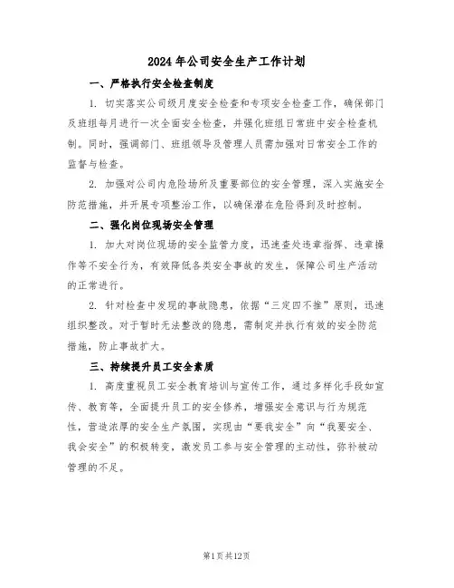 2024年公司安全生产工作计划（五篇）