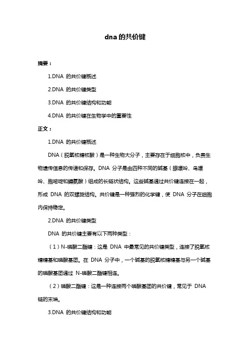 dna的共价键
