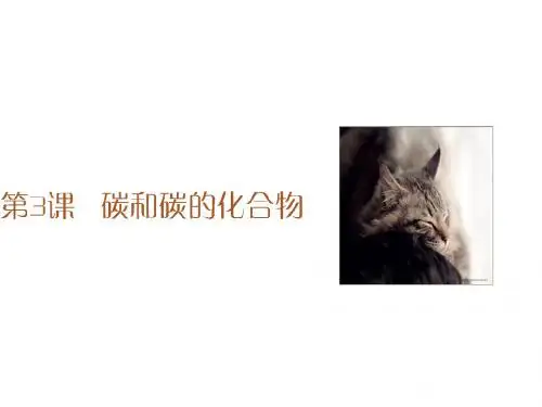 广东省河源市中英文实验学校中考化学专题复习 第一部