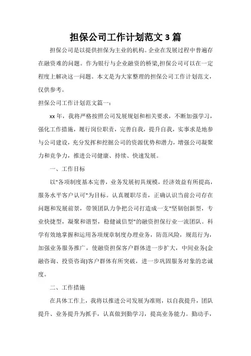 个人工作计划 担保公司工作计划范文3篇