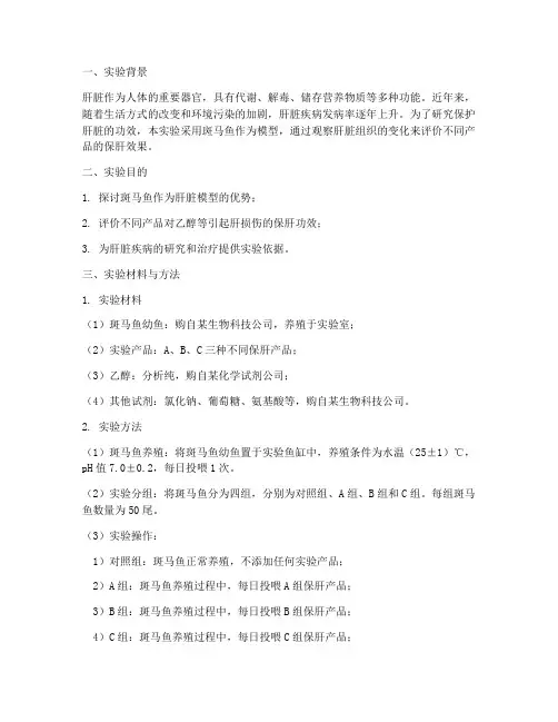 肝脏模型实验报告