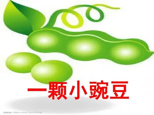 四年级语文上册第一单元一颗小豌豆PPT课件8西师大版