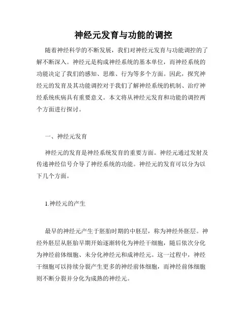 神经元发育与功能的调控