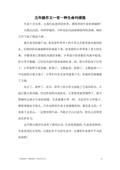 五年级作文--有一种生命叫顽强