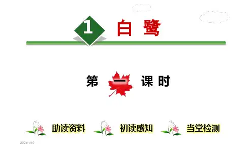 新版部编人教版五年级上册语文全册课件