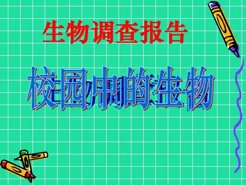 校园中的生物