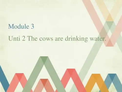 外研新版六年级下M3_U2_The_cows_are_drinking_water