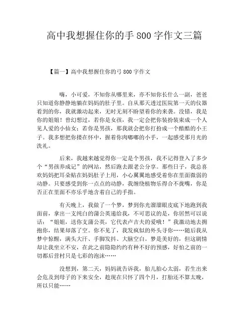 高中我想握住你的手800字作文三篇